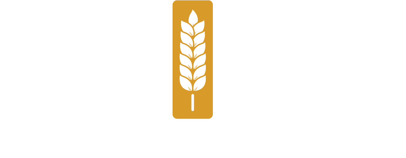 ORO di GRANO ORO di GRANO